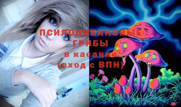хмурый Михайловск