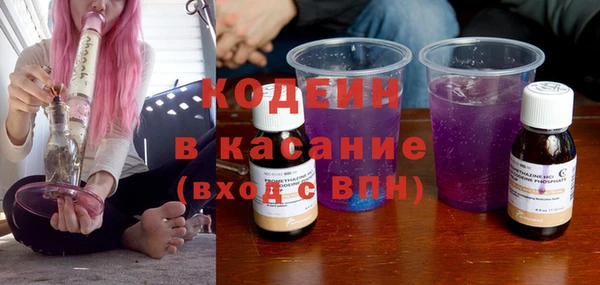 хмурый Михайловск
