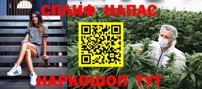 стафф Гатчина