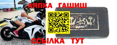 стафф Гатчина
