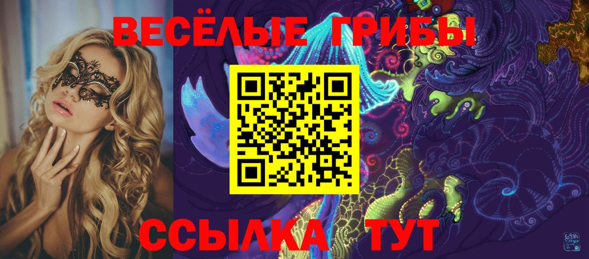 Галлюциногенные грибы Cubensis  Вход с VPN  Кизилюрт 