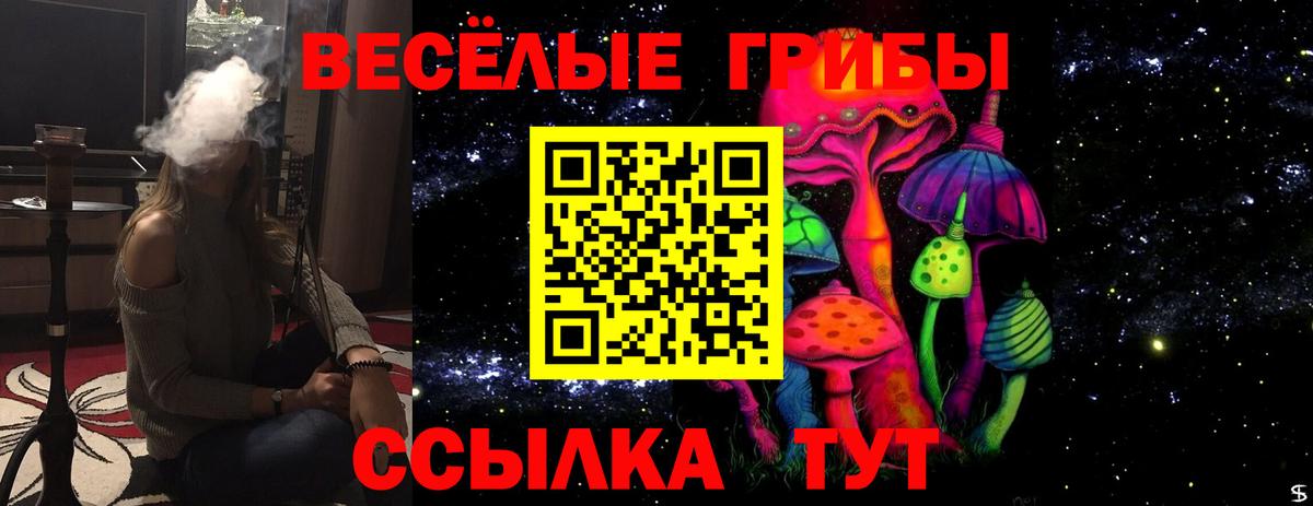 Псилоцибиновые грибы мицелий Кизилюрт